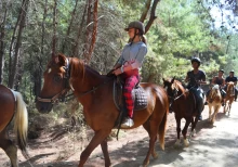 Horse Riding Tour of 3 Hours