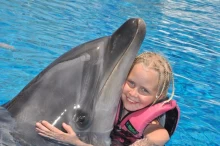 Dolphin Show & Swimming Tour