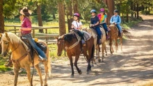 Тур по сафари на лошадях в Белеке: посмотрите на мир со спины лошади