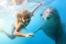 Увлекательное шоу дельфинов и плавательный тур в Анталье